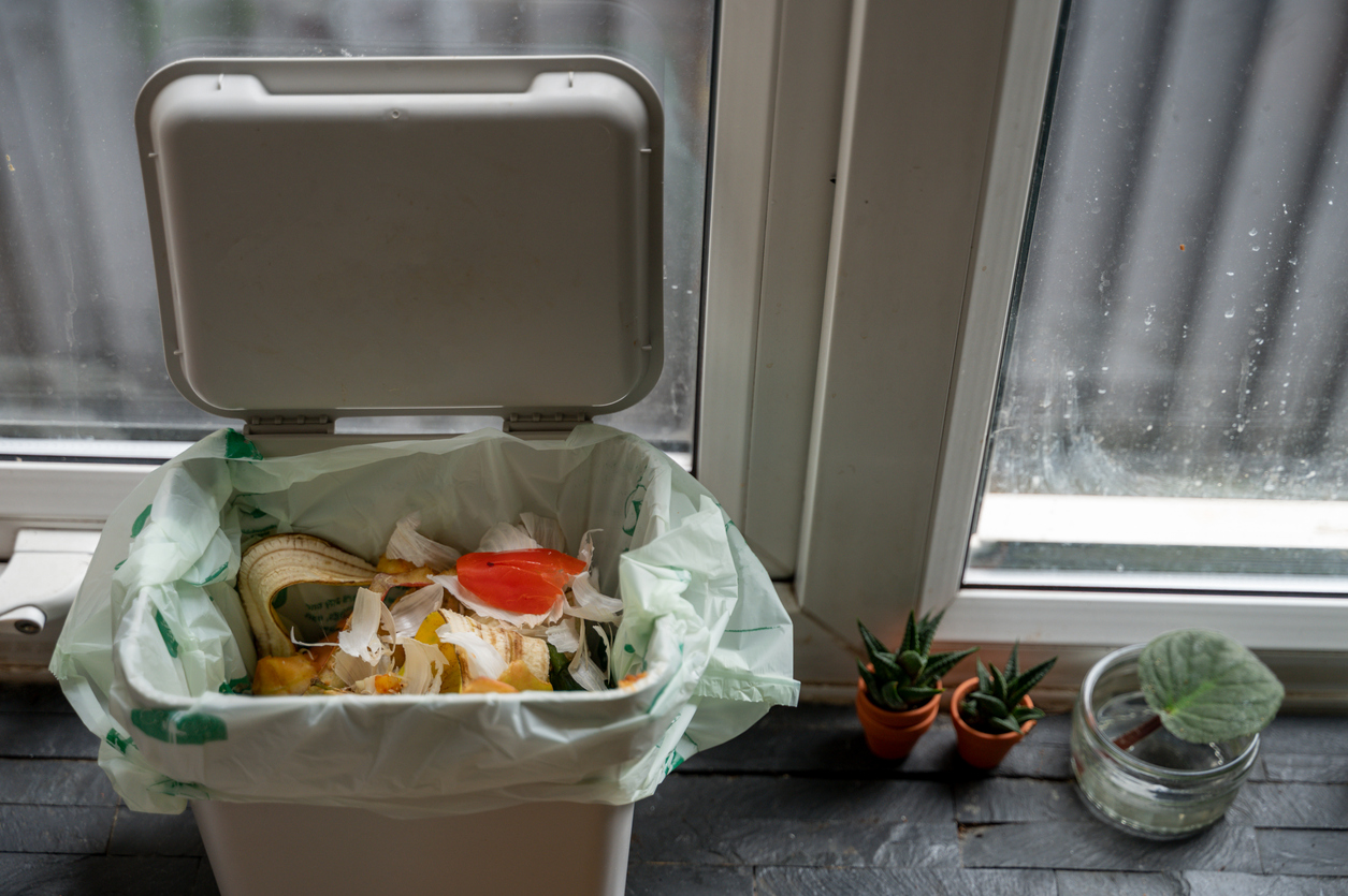 A green organic waste bin in a Redding home.