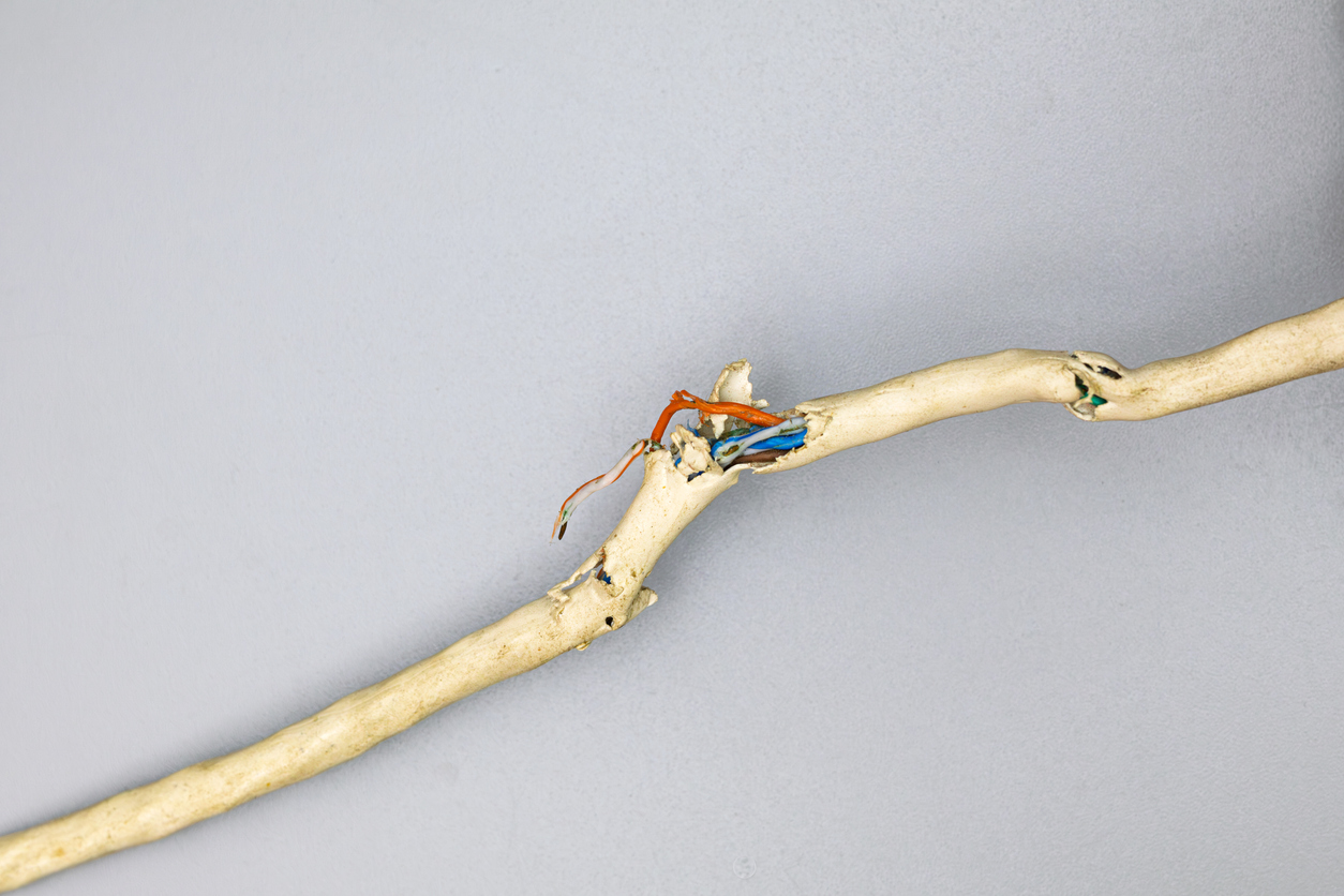 Chewed electrical wiring inside an outdoor AC unit caused by nesting rodents.